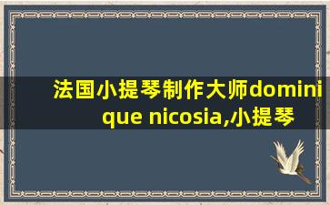 法国小提琴制作大师dominique nicosia,小提琴制作过程